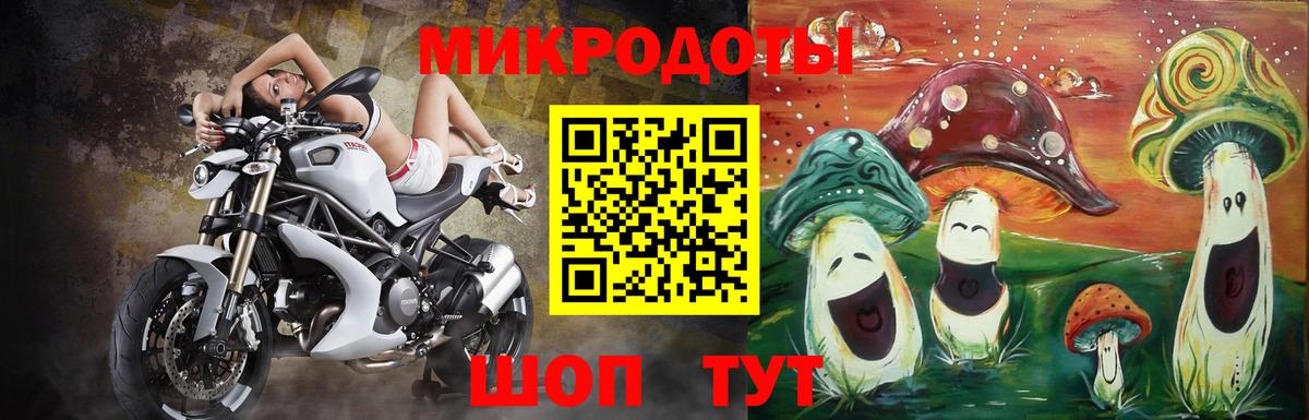 Касимов  Галлюциногенные грибы Psilocybe  Вход с VPN  Псилоцибиновые грибы GOLDEN TEACHER 