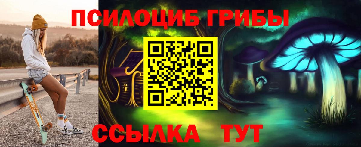 Галлюциногенные грибы Psilocybine cubensis Касимов